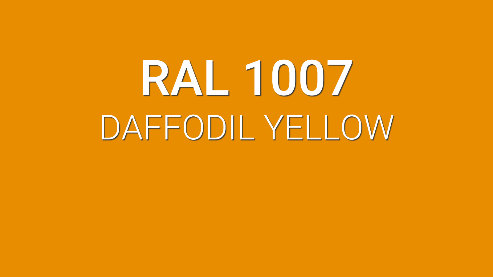 RAL 1000