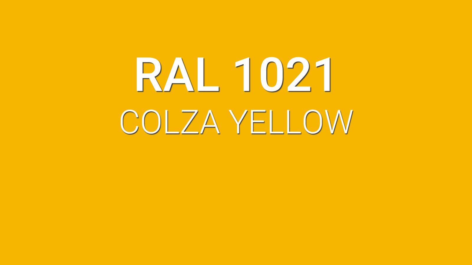 RAL 1000