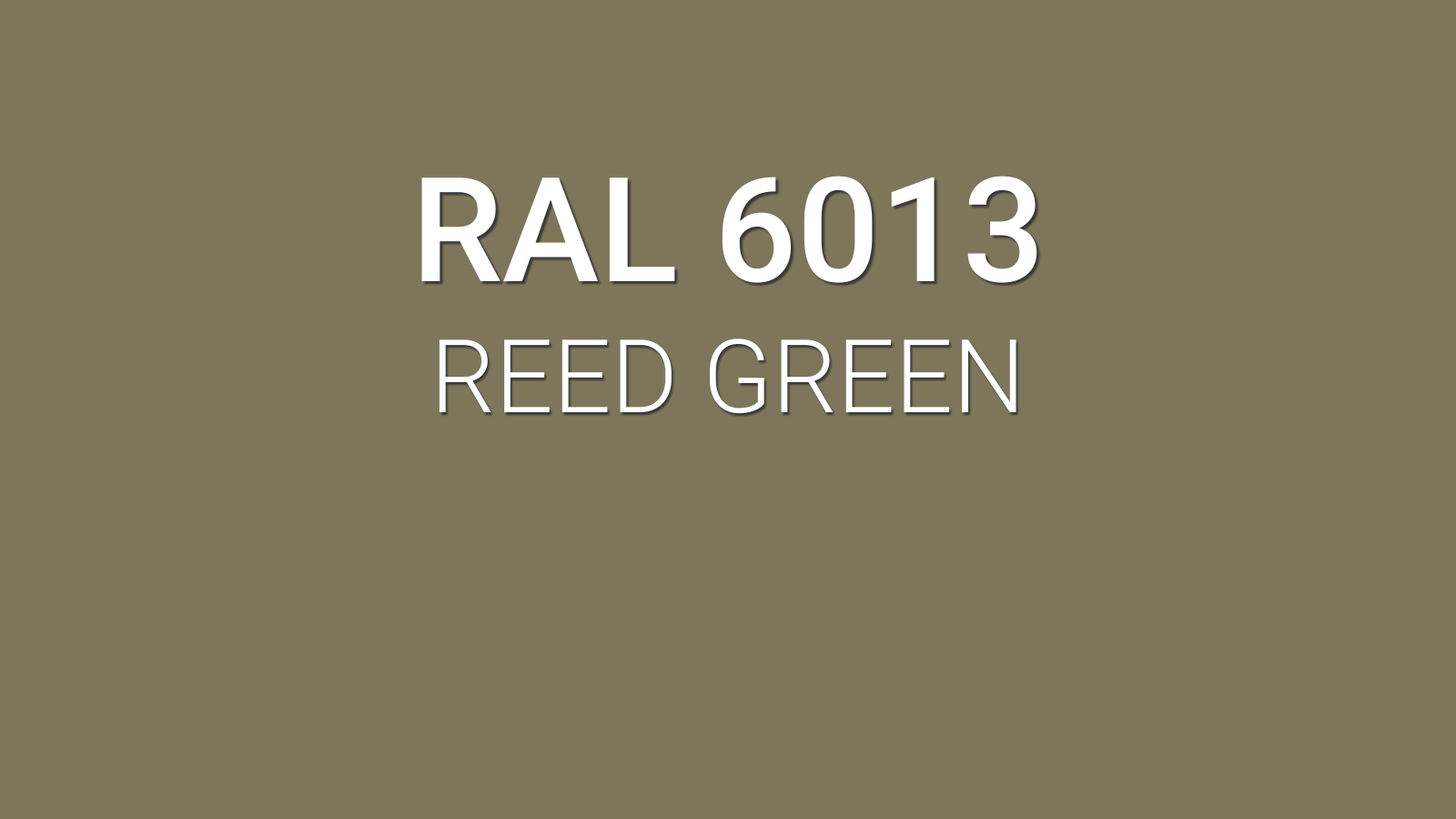 RAL 1000