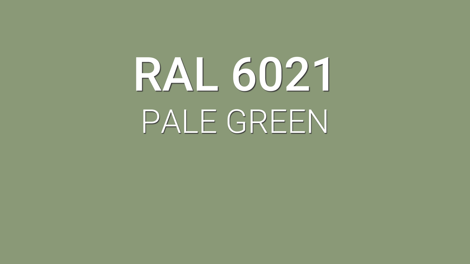 RAL 1000